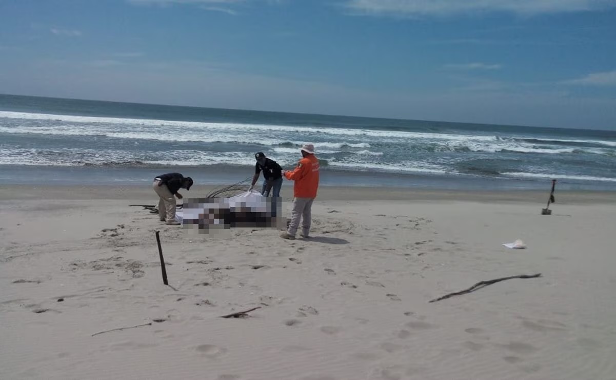 Aparecen 3 cuerpos en playas de Santa María del Mar; suman 5 naufragios de migrantes en Oaxaca