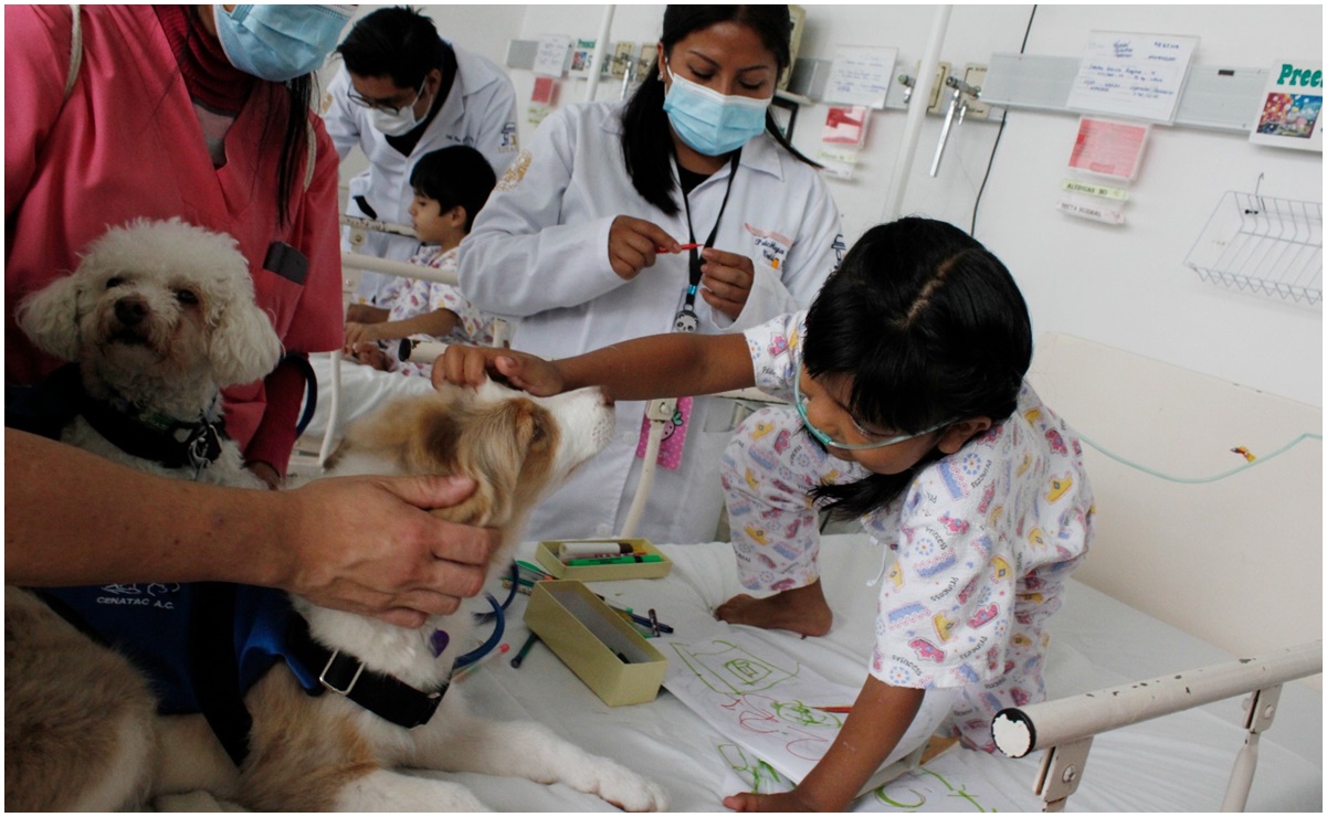 Hospital de Coyoacán brinda más de 36 mil atenciones de terapia asistida con perros