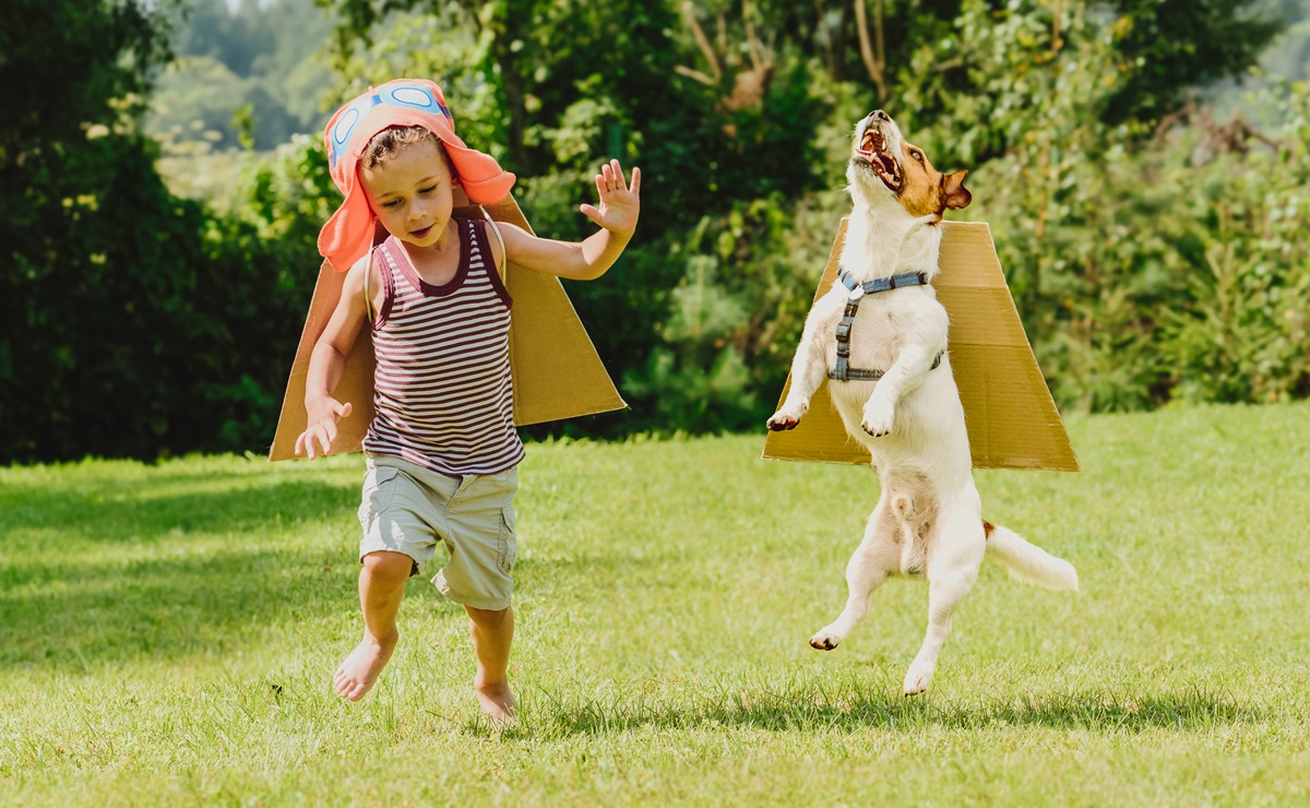 5 razas de perros ideales para niños pequeños, de acuerdo con expertos 