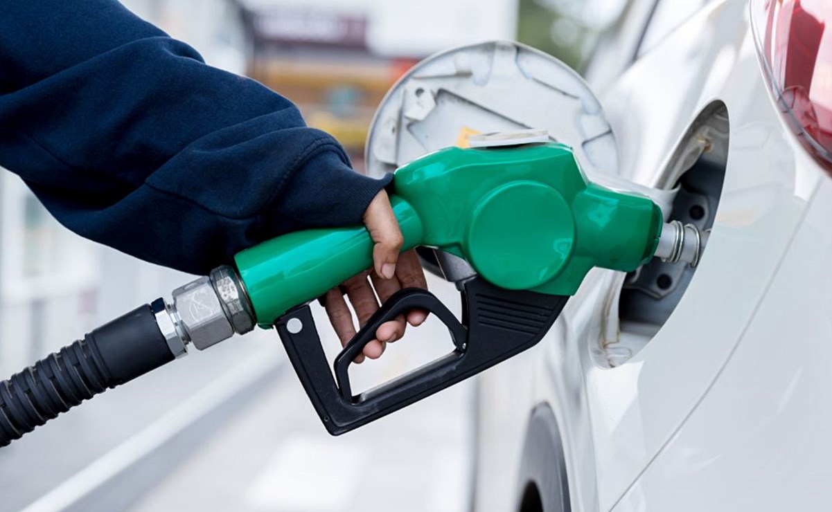Cofece sanciona con 58 mdp a seis empresas de gasolina y diésel por fusionarse sin notificar
