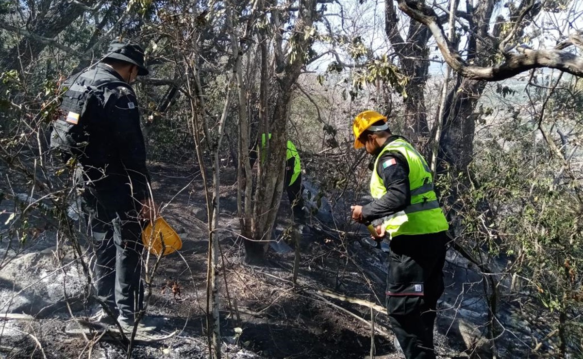 Controlan al 95% incendio forestal en El Mante, Tamaulipas