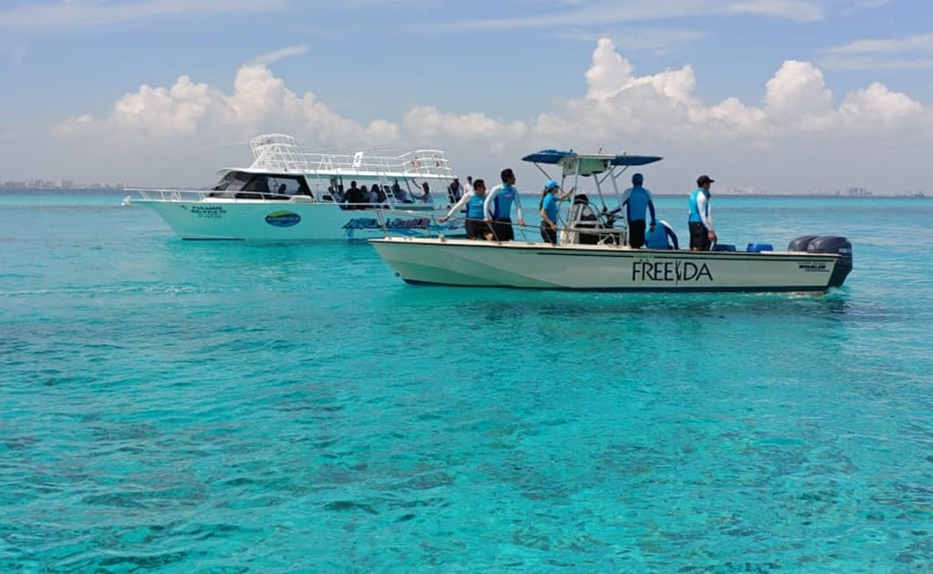 Arranca siembra de 3 mil 100 corales en arrecifes de Cancún e Isla Mujeres
