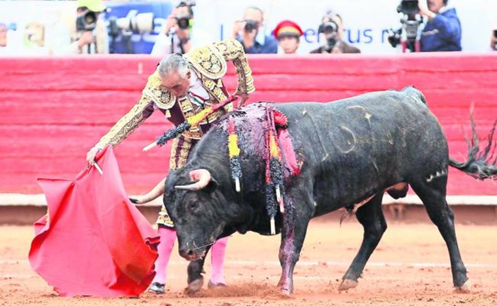 7 municipalities of Michoacán against bullfighting