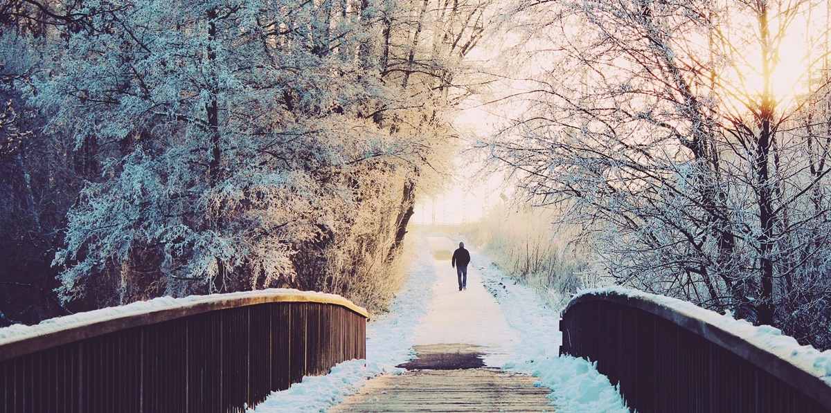 Visita el parque Voyageurs, un paraíso invernal en Minnesota