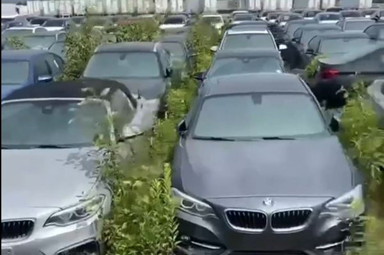 Más de 3,000 autos BMW completamente nuevos están abandonados y pudriéndose al aire libre