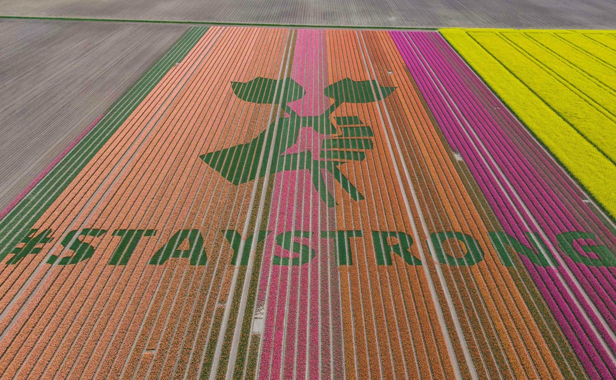 Sobre campo de tulipanes de Holanda dibujan mensaje de esperanza