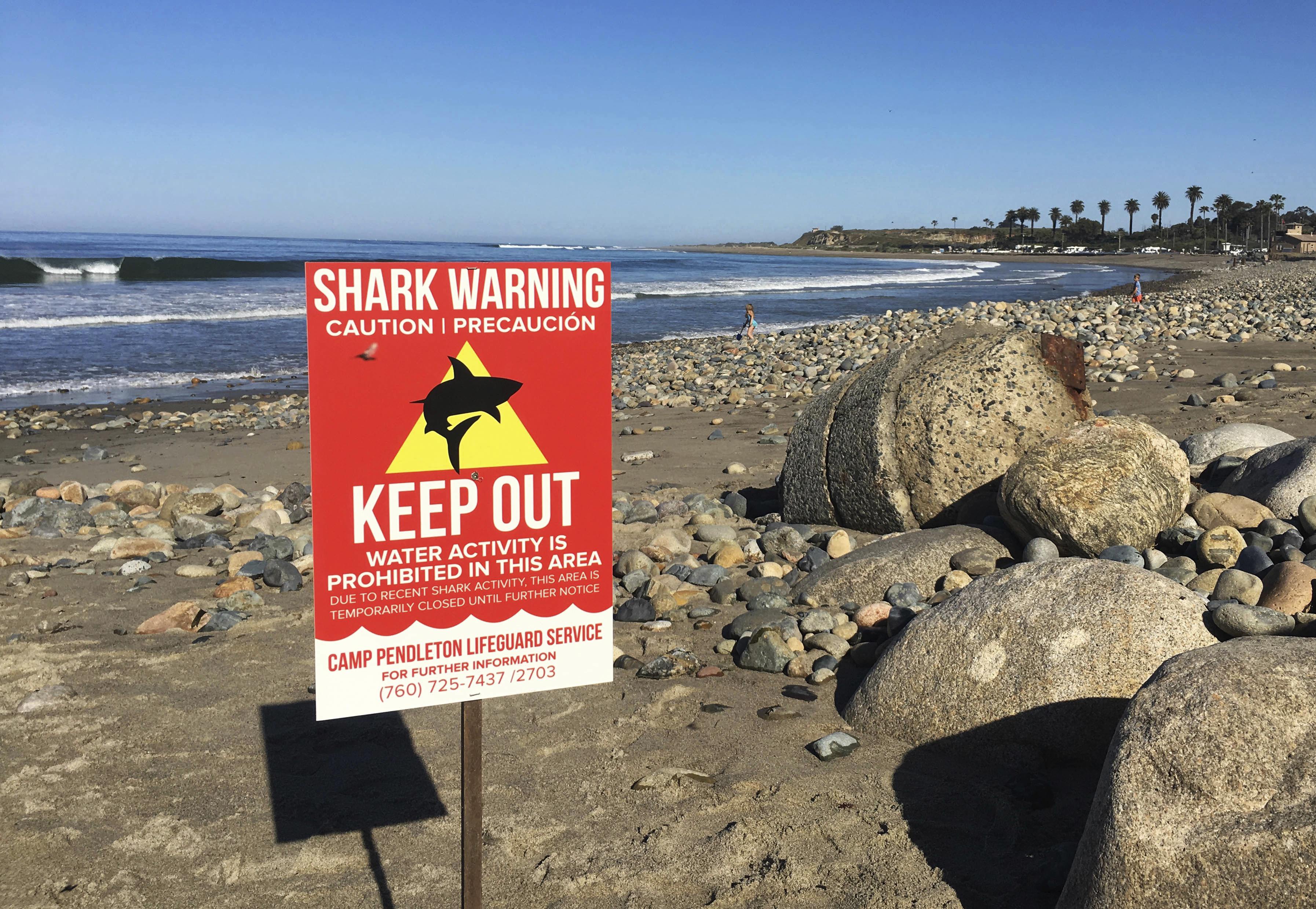 Tiburón ataca a mujer en playa del sur de California
