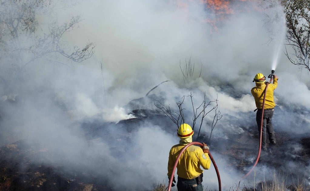 Conafor reporta 130 incendios en el país; 71 continúan activos