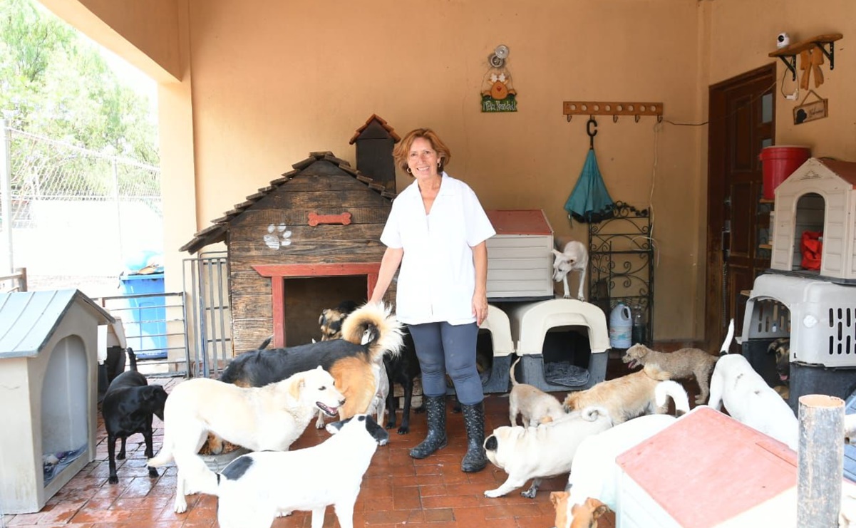 “Mi mamá me decía: cuando tengas tu casa metes a todos los perros que quieras, y la obedecí”