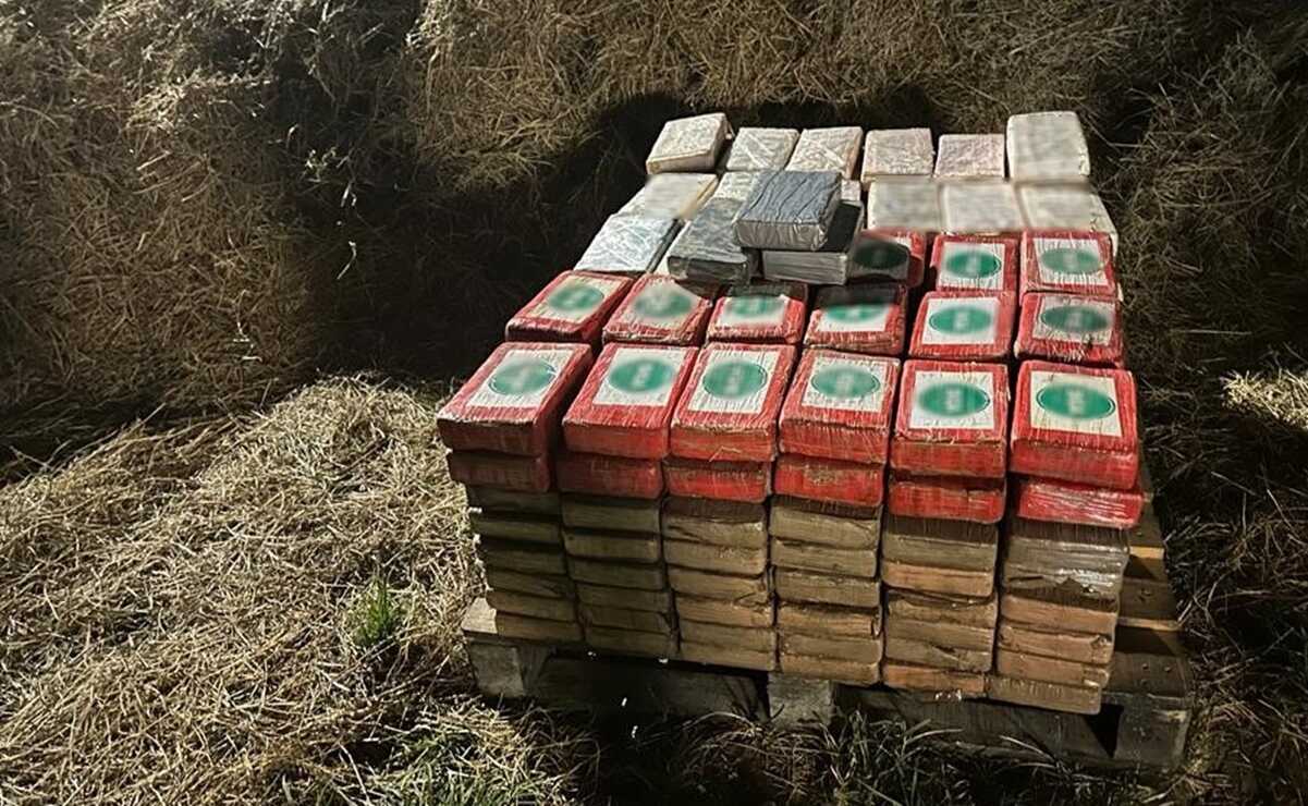 Con rayos gamma, detectan y aseguran 240 paquetes de cocaína ocultos en paja en Veracruz