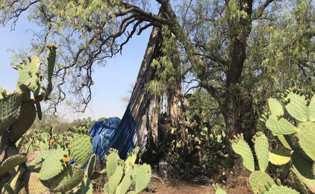 Ni la empresa ni el globo aerostático incendiado en Teotihuacán pertenece a la FEGAT, revelan