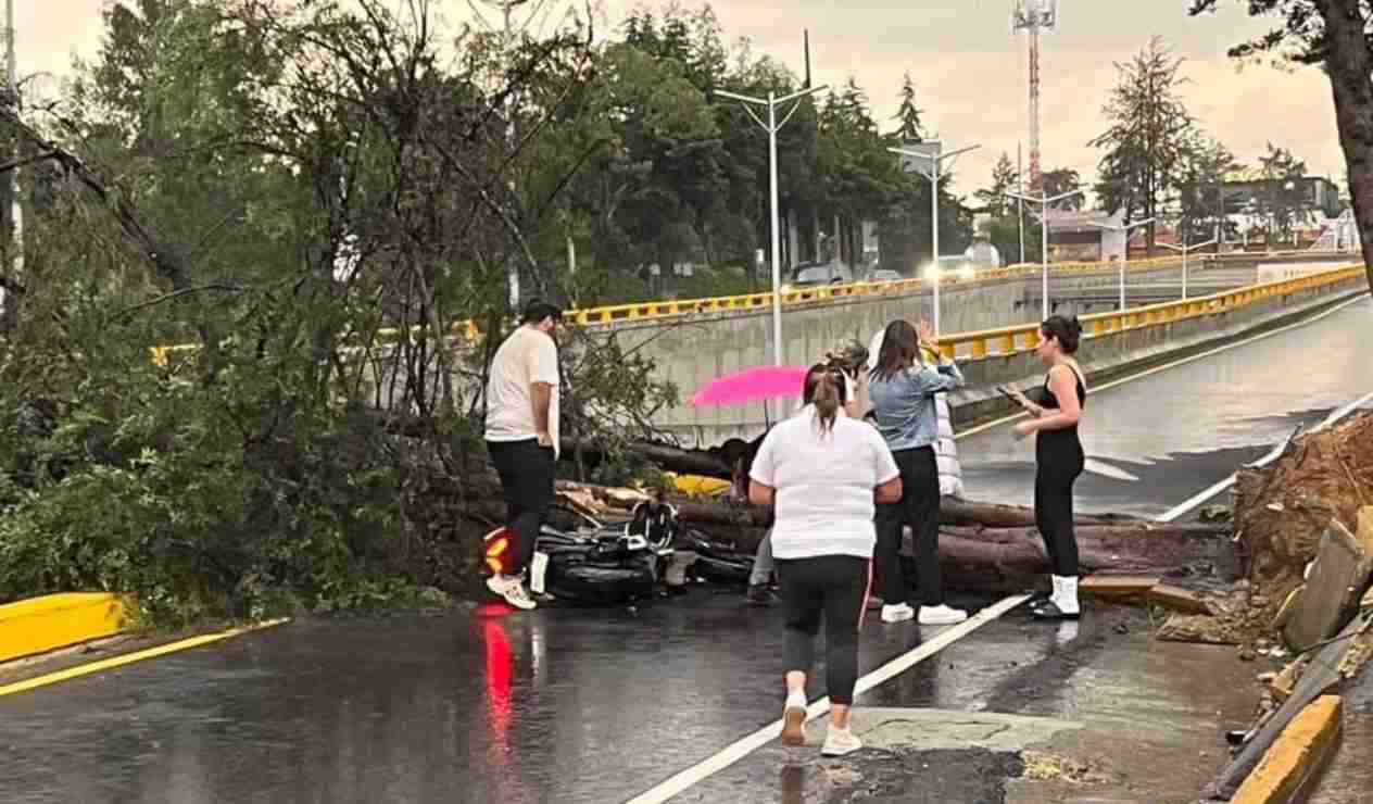 Tras caída de árbol motociclista queda atrapado en el EDOMEX