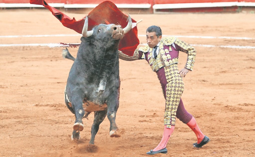 Propone Partido Verde prohibir corridas de toros en CDMX