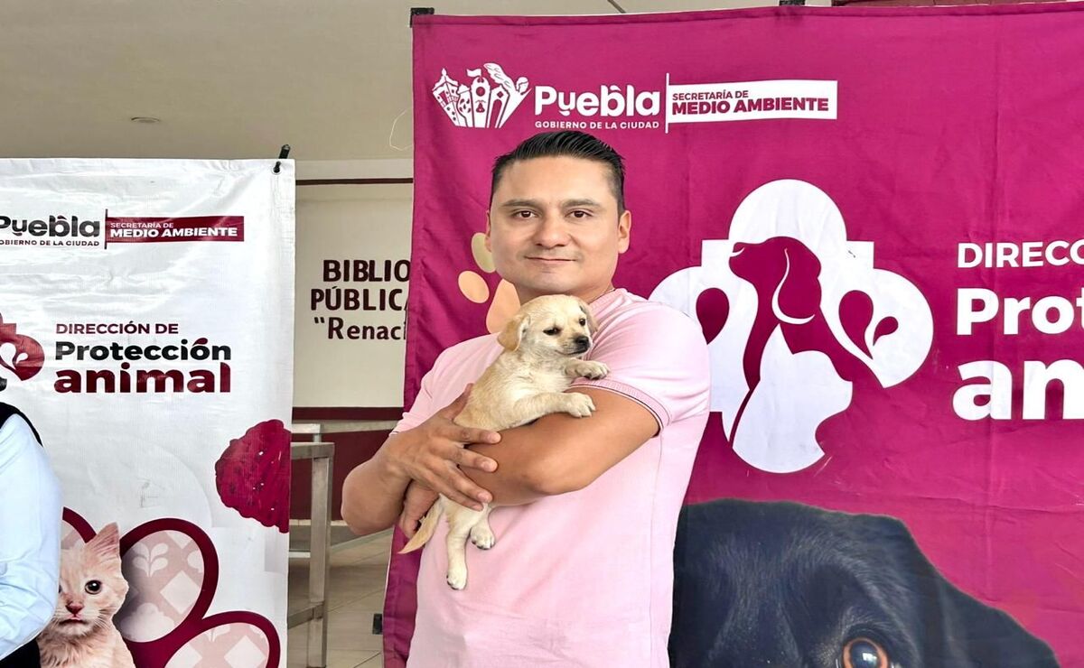 Por el bienestar animal el Gobierno de la Ciudad realizó el foro ...