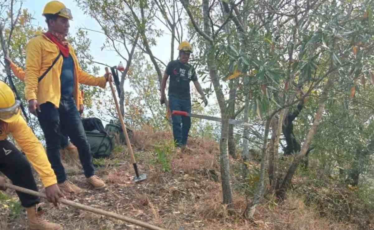 Familias triquis piden auxilio para sofocar incendio que lleva 5 días en la Mixteca de Oaxaca