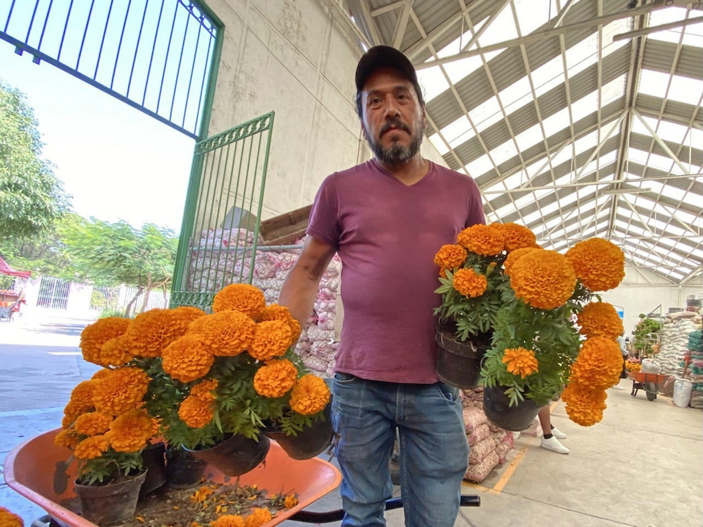 El cempasúchil mexicano se vende a 25 pesos en el Mercado de las Flores, en Querétaro