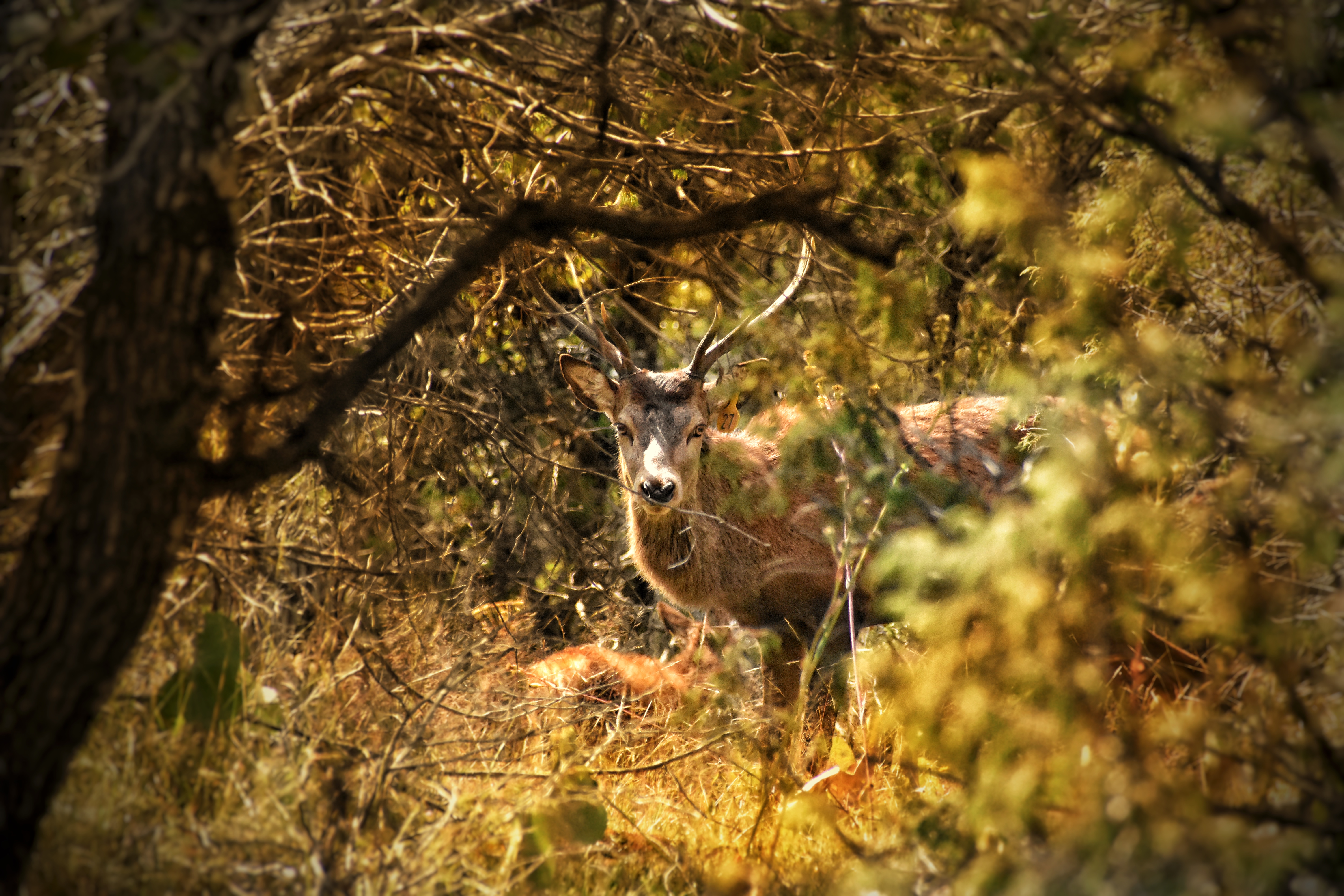 Visita un bar dentro de un granero: 3 paseos de naturaleza en Zacatecas