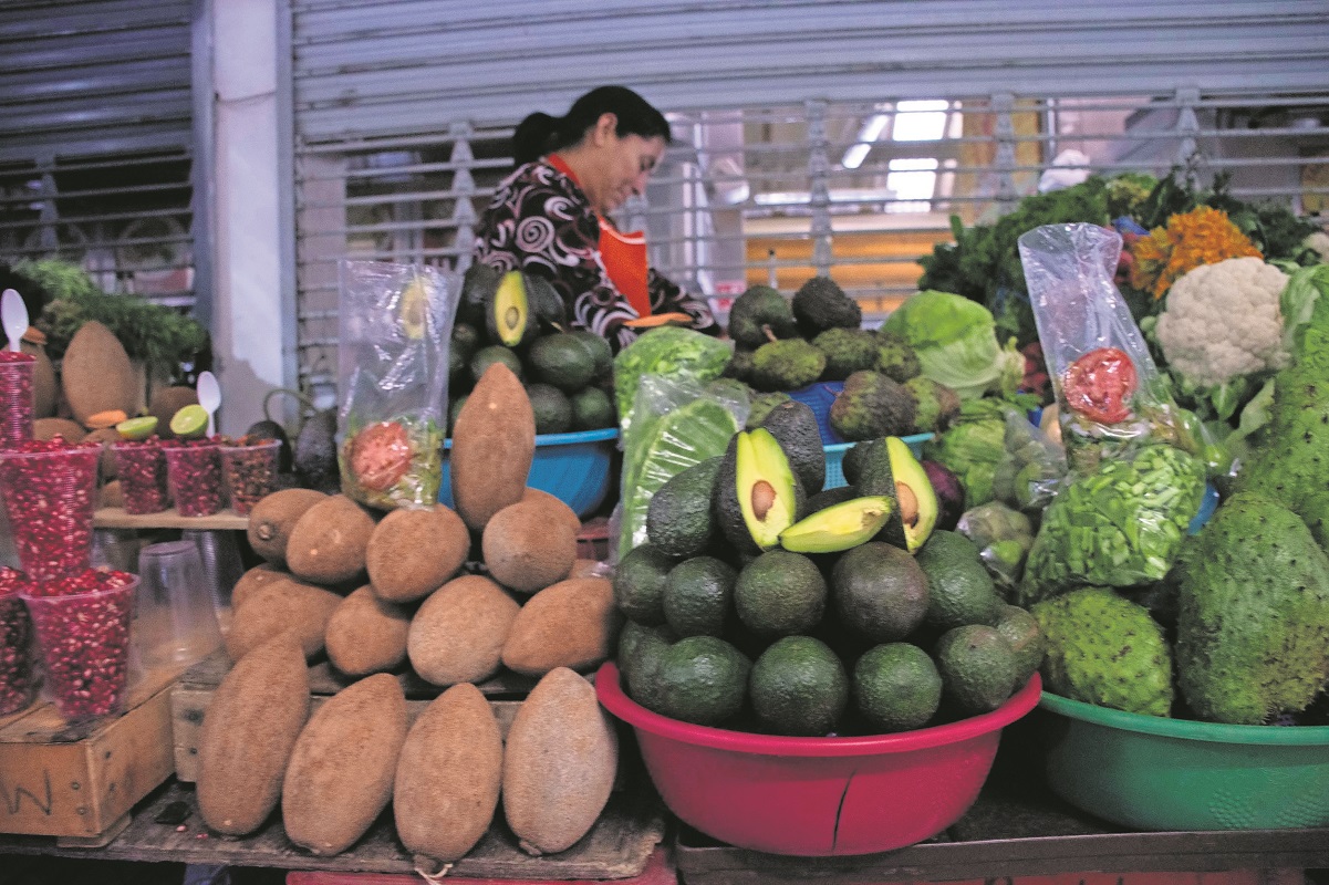 En una semana, kilo de aguacate alcanzó los 94 pesos en Querétaro 