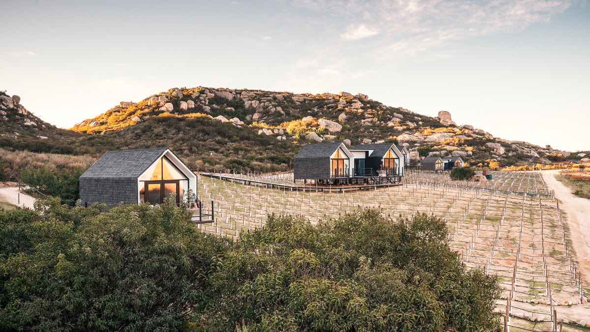 Selección de la editora: 6 lugares increíbles para hacer glamping en el Valle de Guadalupe