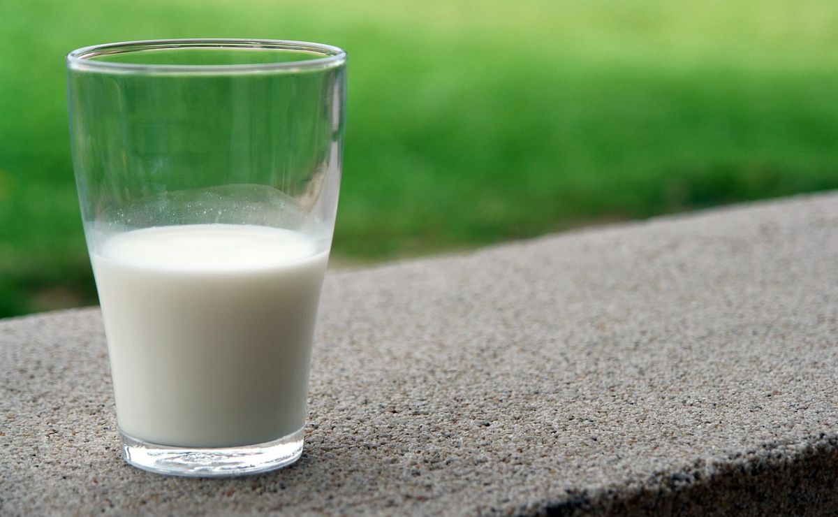 El alimento que es similar a la leche materna y ayuda a la nutrición infantil