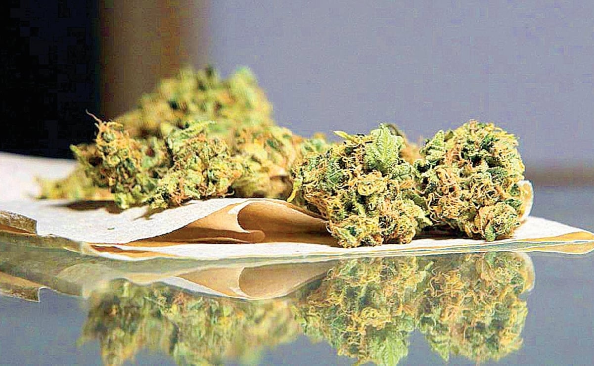 Corte declara inconstitucional penalizar la posesión de más de 5 gramos de marihuana