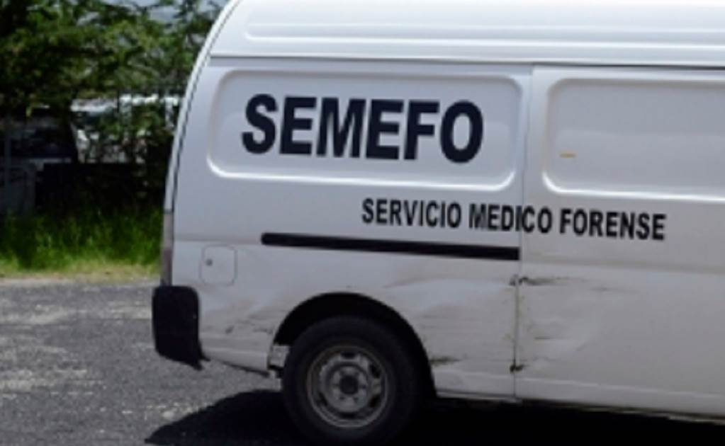 Son más de 13 cuerpos desmembrados los hallados embalados y congelados en norte de Veracruz: Fiscalía estatal 