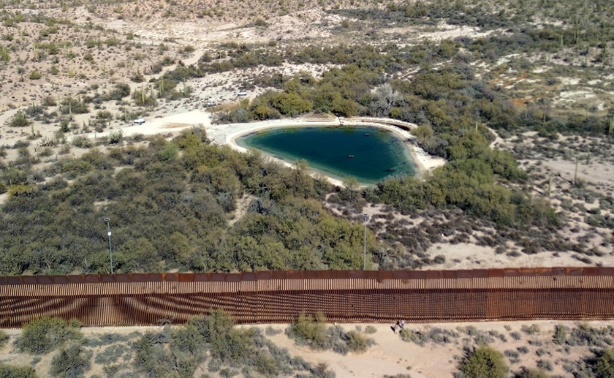 Naturaleza interrumpida: el impacto del muro fronterizo entre EE.UU. y México en la fauna salvaje