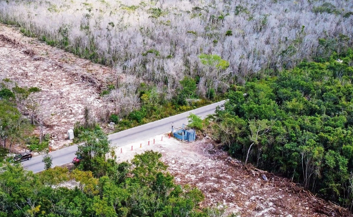 Vestigios hallados en Tren Maya llegarán a exposición en Los Pinos