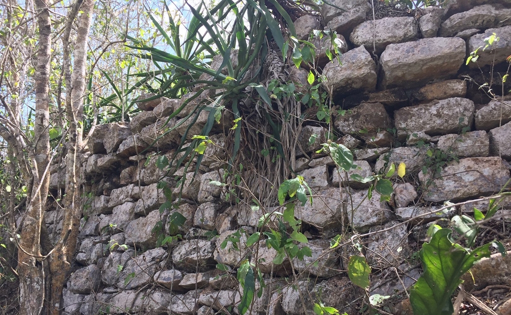 Selva oculta pirámide y juego de pelota en ciudad maya de X'baatún