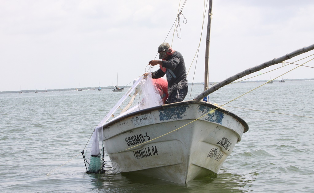 Pescadores piden que se trabaje en vigilancia y pesca ilegal en costas de Sinaloa