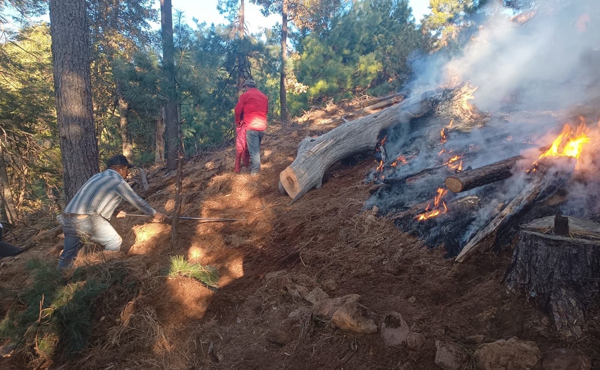 Incendios forestales afectan siete municipios de la Sierra Tarahumara