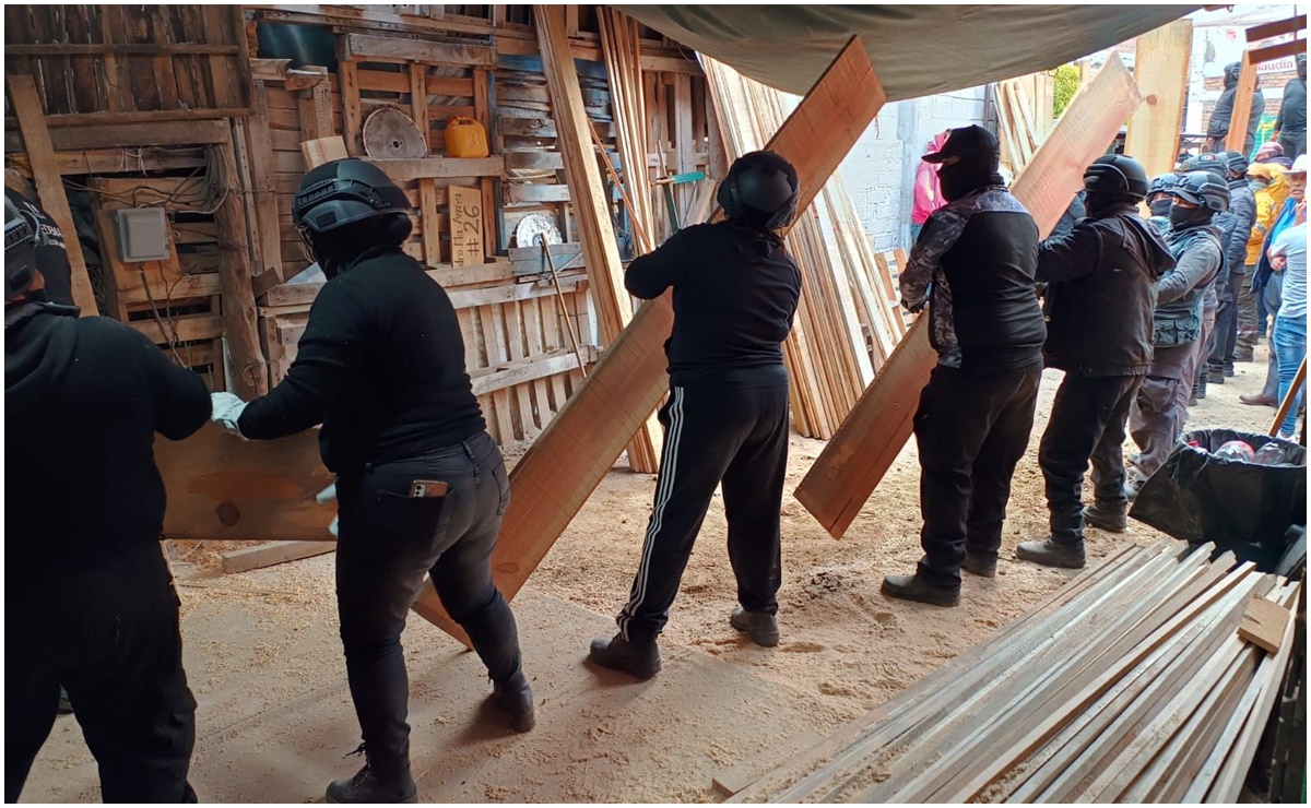 Clausuran 3 aserraderos en Tlalpan durante operativo contra tala ilegal