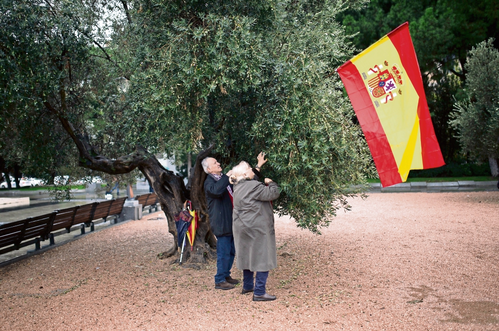 España tiende rama de olivo a gobierno catalán