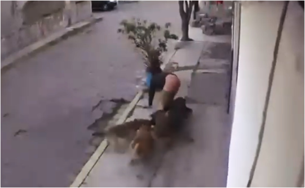 VIDEO: Perros atacan a dos jóvenes en San Miguel Totocuitlapilco; uno de ellos resultó herido de la pierna