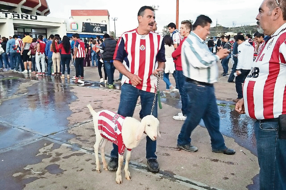 Y “Matías” se queda afuera