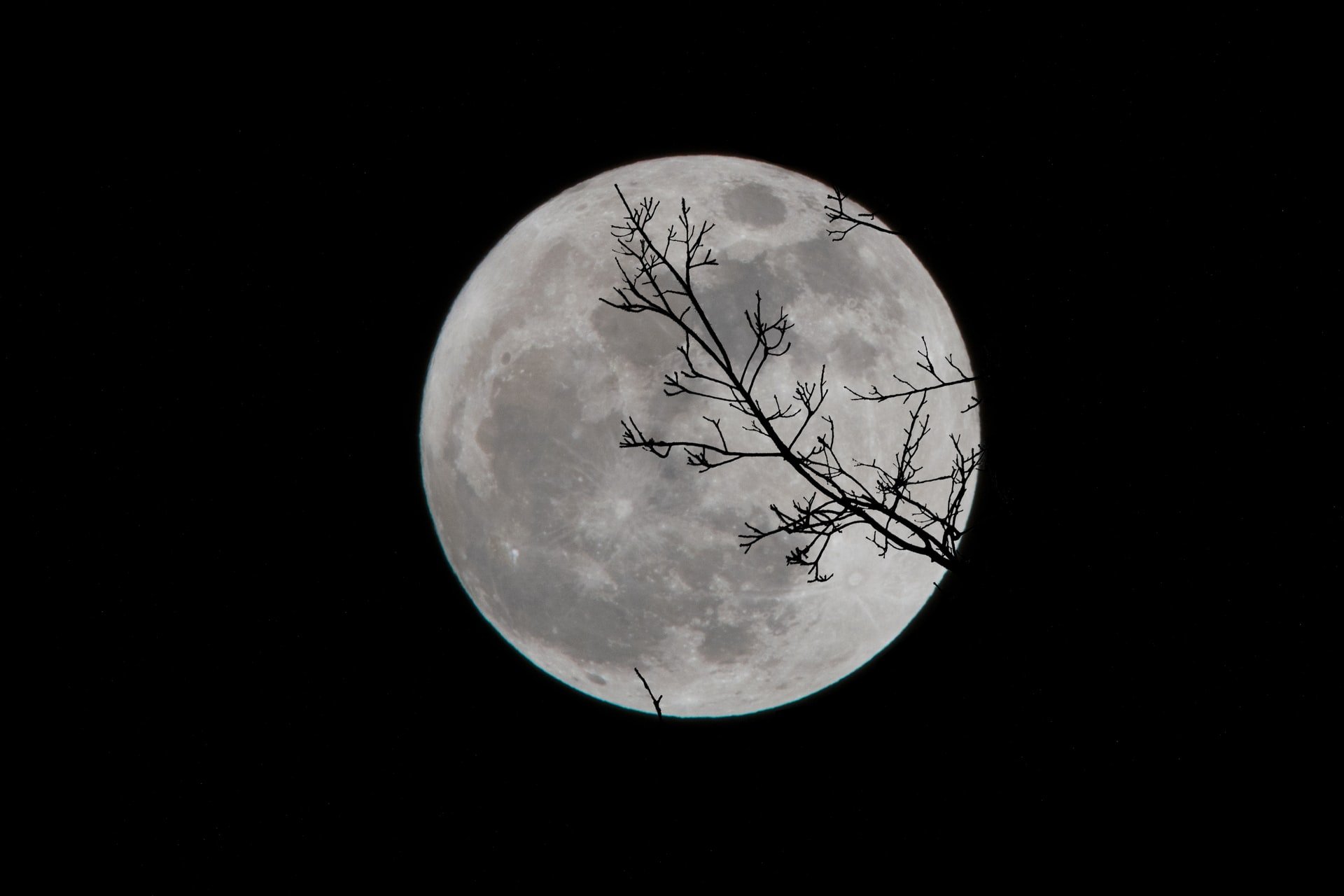 Superluna de gusanos, el fenómeno astronómico que se verá este fin de semana