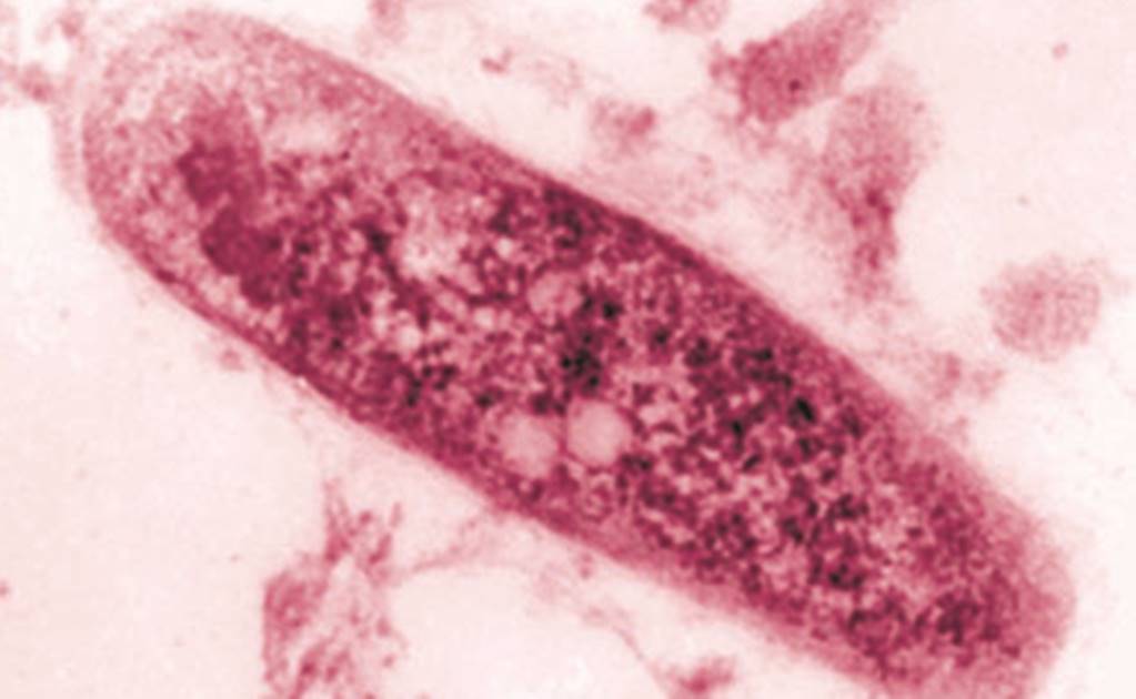 Constatan el origen africano de la tuberculosis