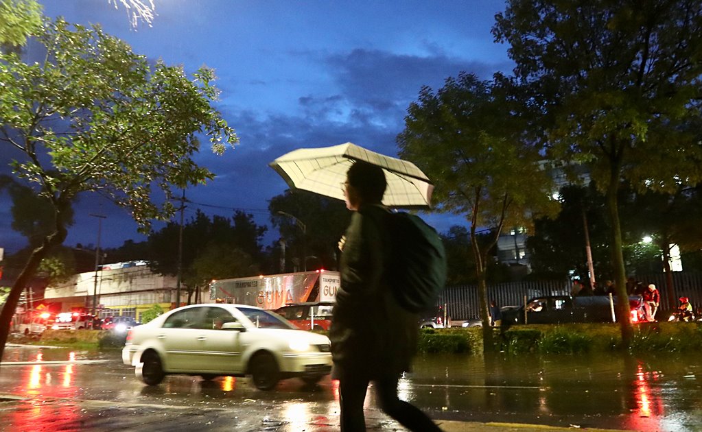 Árboles caídos, anegaciones y caída de fachada: saldo de lluvias este sábado en CDMX