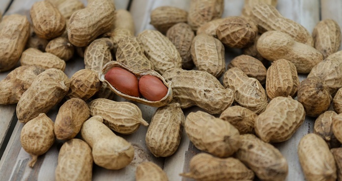 Comer cacahuates desde bebés disminuiría riesgo de alergia