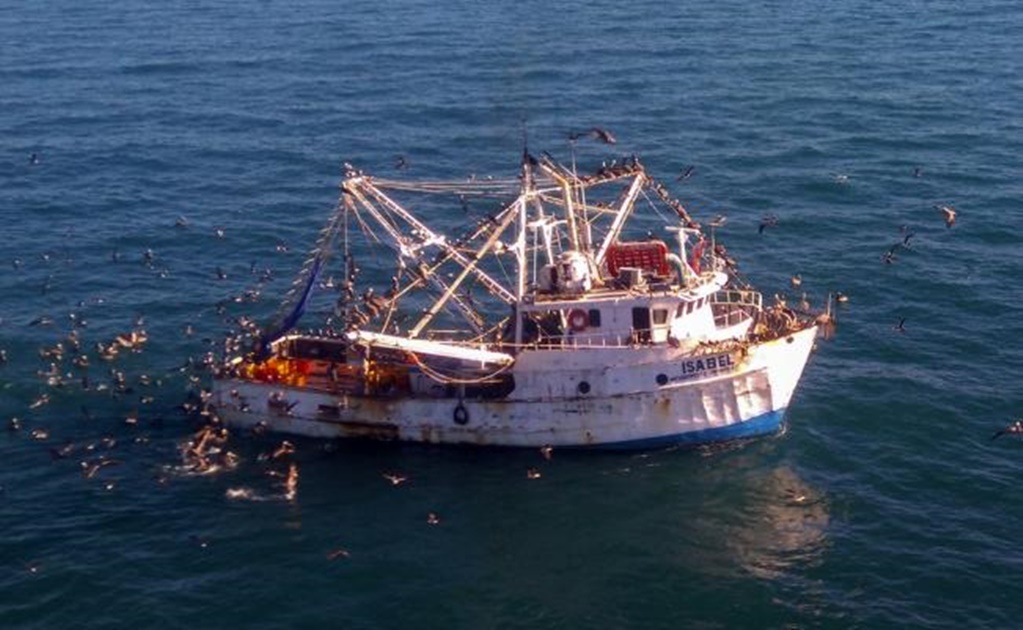 Alertan por pérdidas de empleo por prohibición de pesca en Golfo de California
