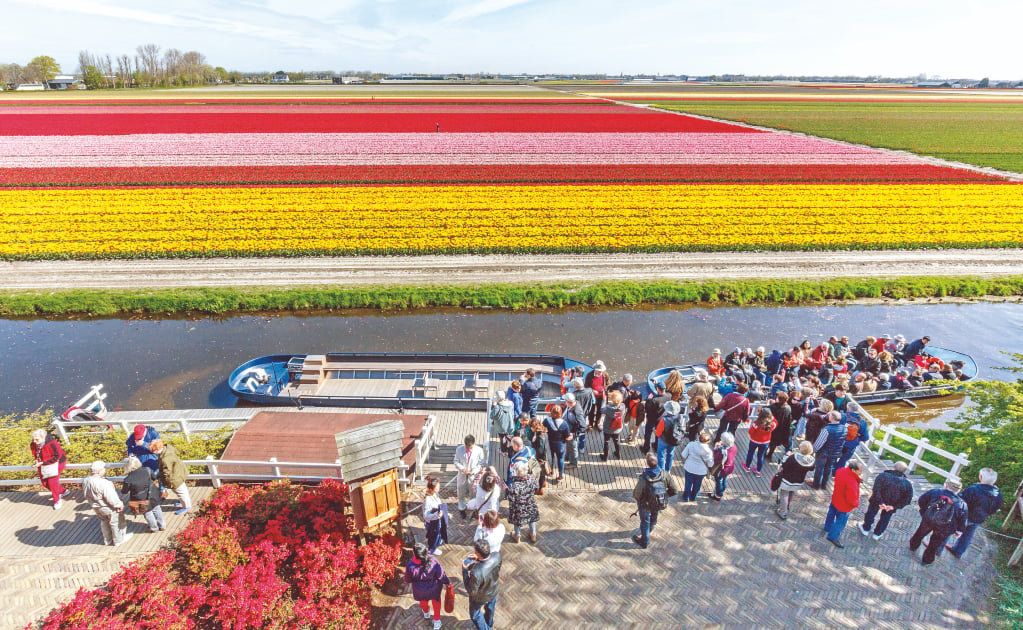 Ya abrió Keukenhof, el parque de tulipanes más espectacular de Holanda