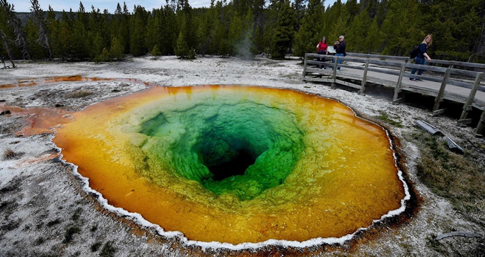 ¿Por qué deberías visitar Yellowstone en primavera? 