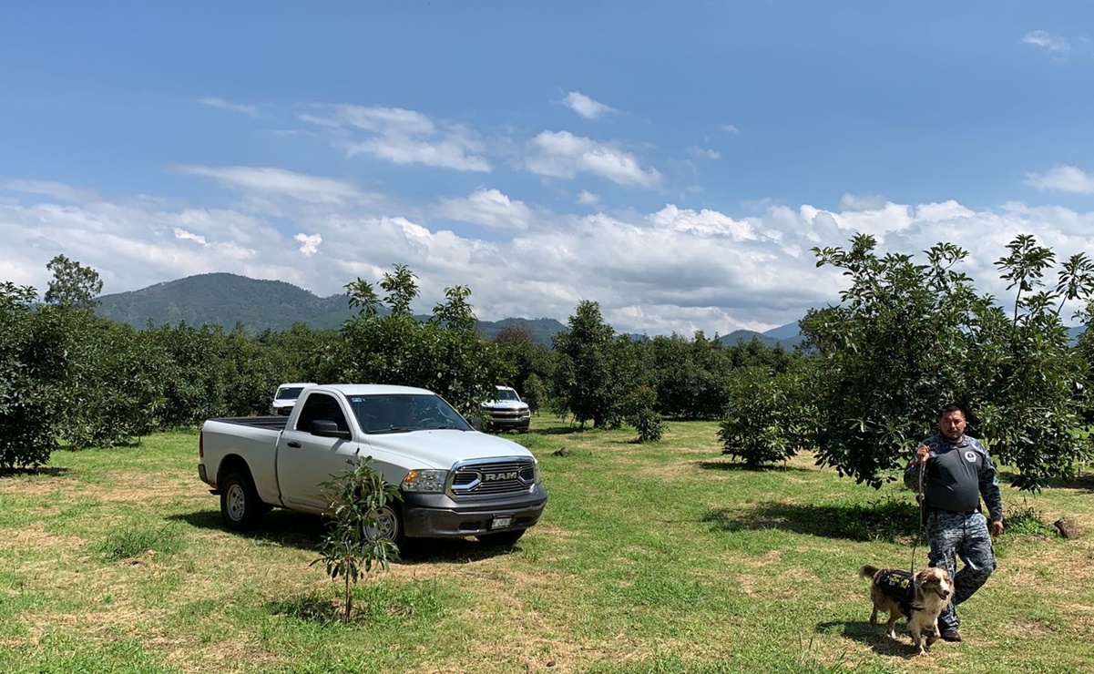 Sube a 12 la cifra de cuerpos hallados en fosa clandestina de Uruapan, Michoacán