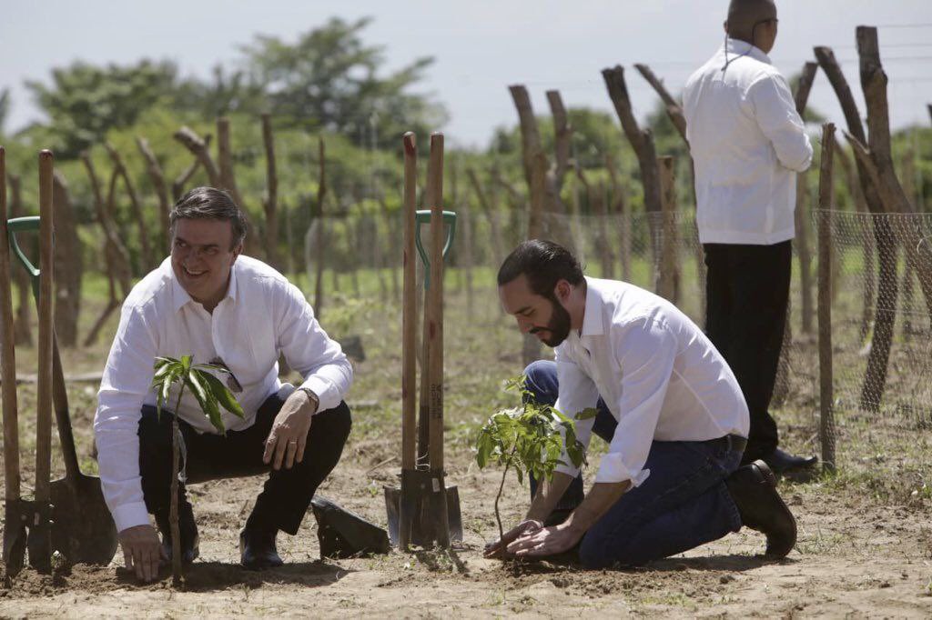 Marcelo Ebrard “siembra vida” con el presidente de El Salvador 