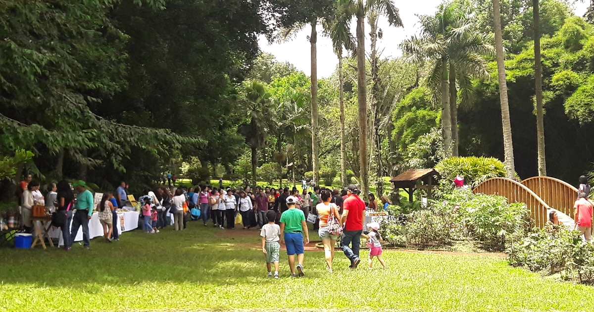 Jardín botánico de Xalapa es catalogado como uno de los mejores para visitar en Norteamérica
