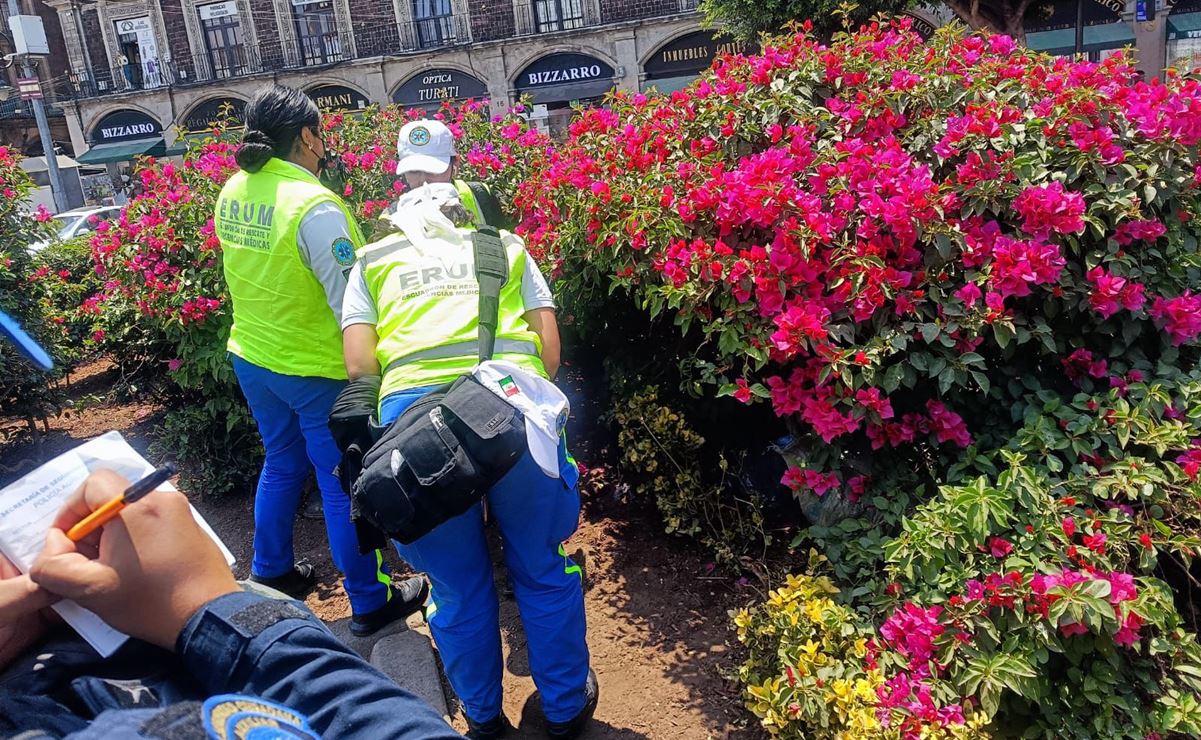 Encuentran el cadáver de un hombre en jardineras del Zócalo capitalino