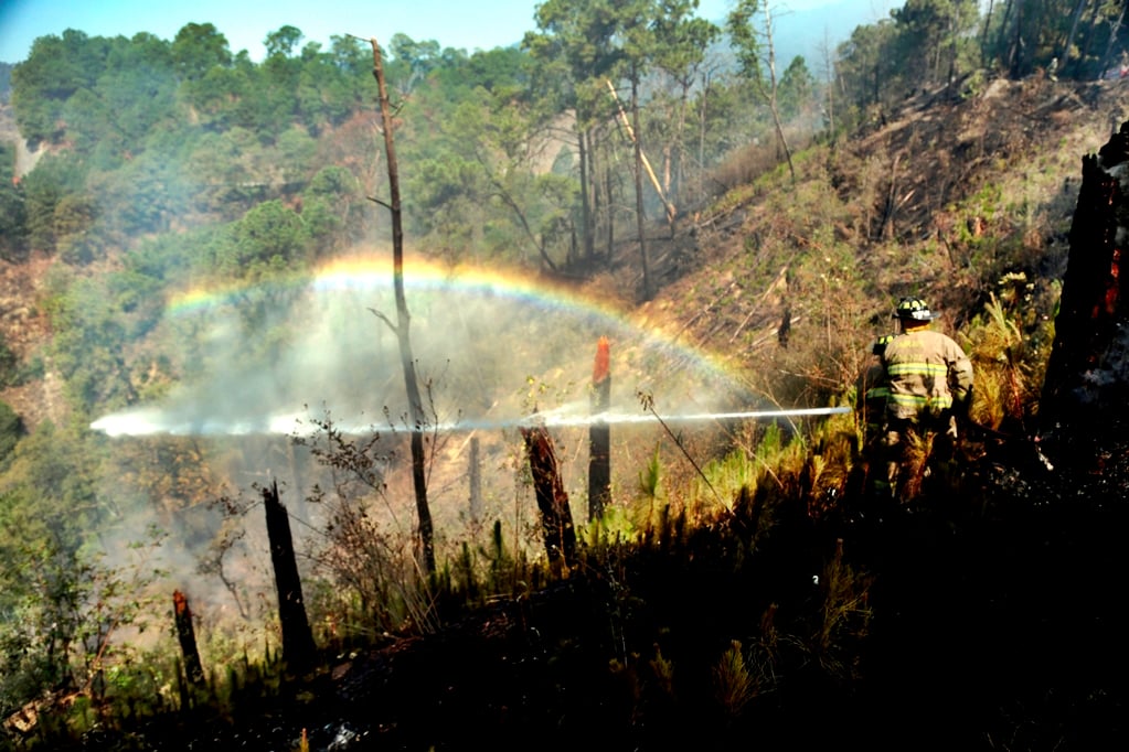 Controlan 70% de incendio forestal en Cuernavaca