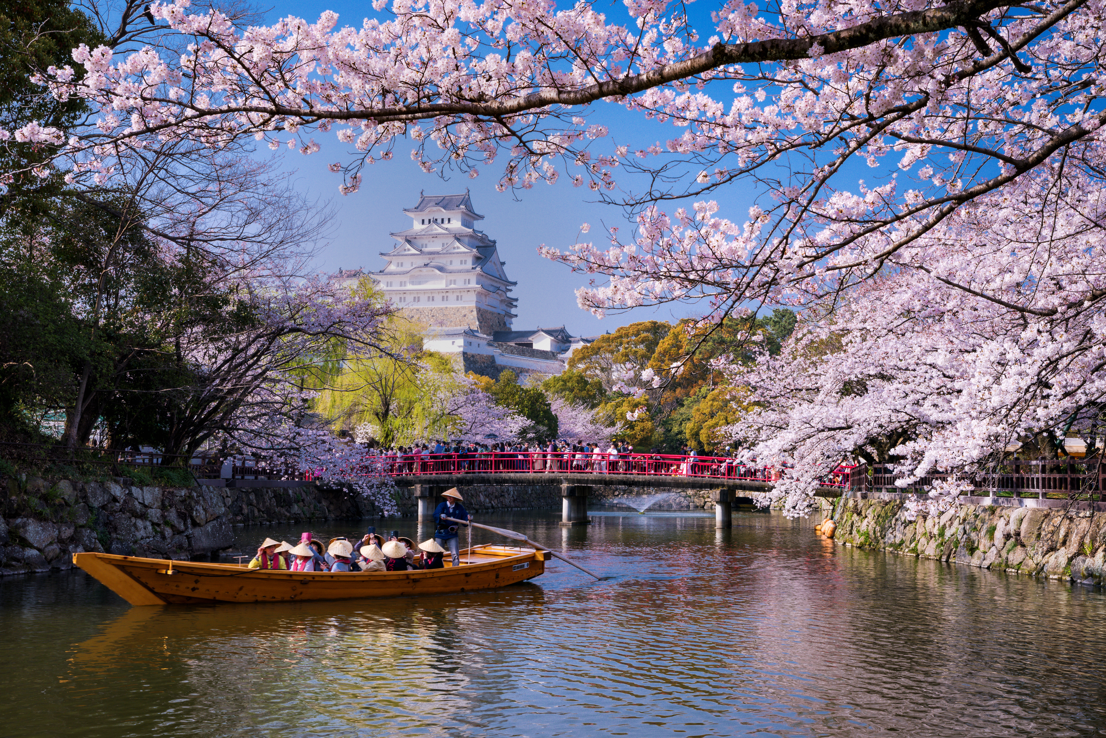 ¡Sin visa a Japón! A partir del 1 de abril, los ciudadanos panameños podrán ingresar libremente