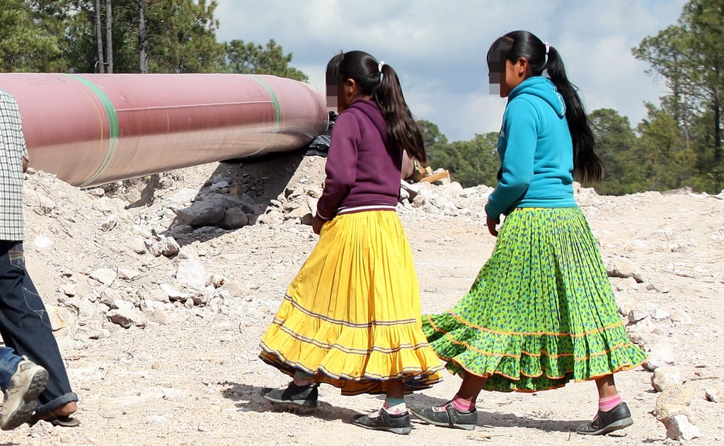Por usos y costumbres, intercambian a niñas por ganado en Morelos