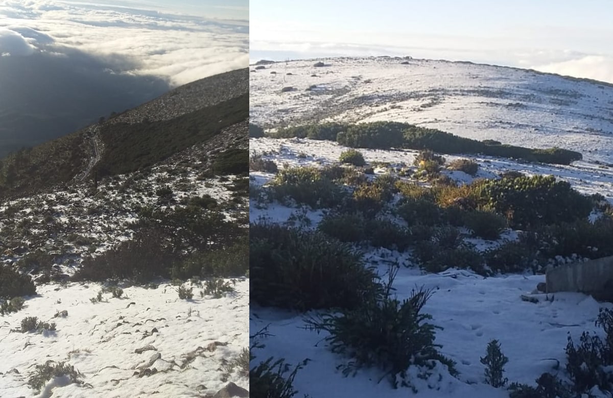 Primera nevada deja capa de 7 a 9 centímetros en Galeana, Nuevo León: FOTOS 